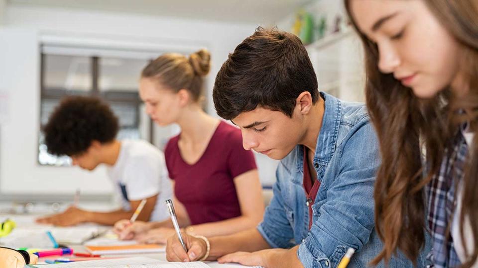 Schülerinnen und Schüler im Unterricht